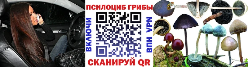 ОМГ ОМГ вход Карпинск Галлюциногенные грибы прущие грибы