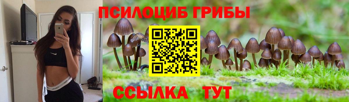 Карпинск  Галлюциногенные грибы GOLDEN TEACHER  Псилоцибиновые грибы прущие грибы  Вход с VPN 